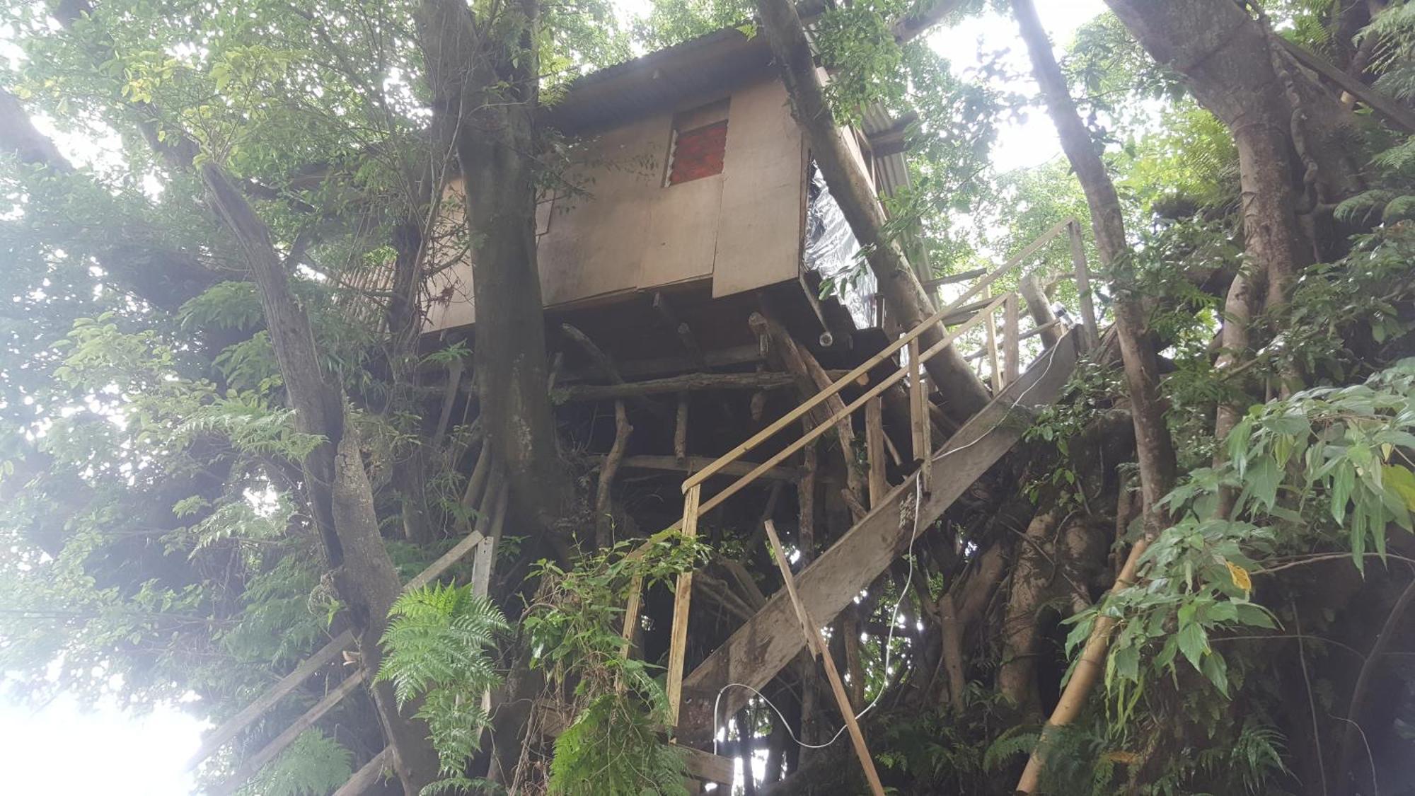Castle Tree House And Bungalow White Sands Quarto foto